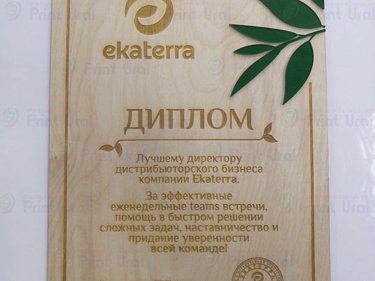 Изготовление дипломов